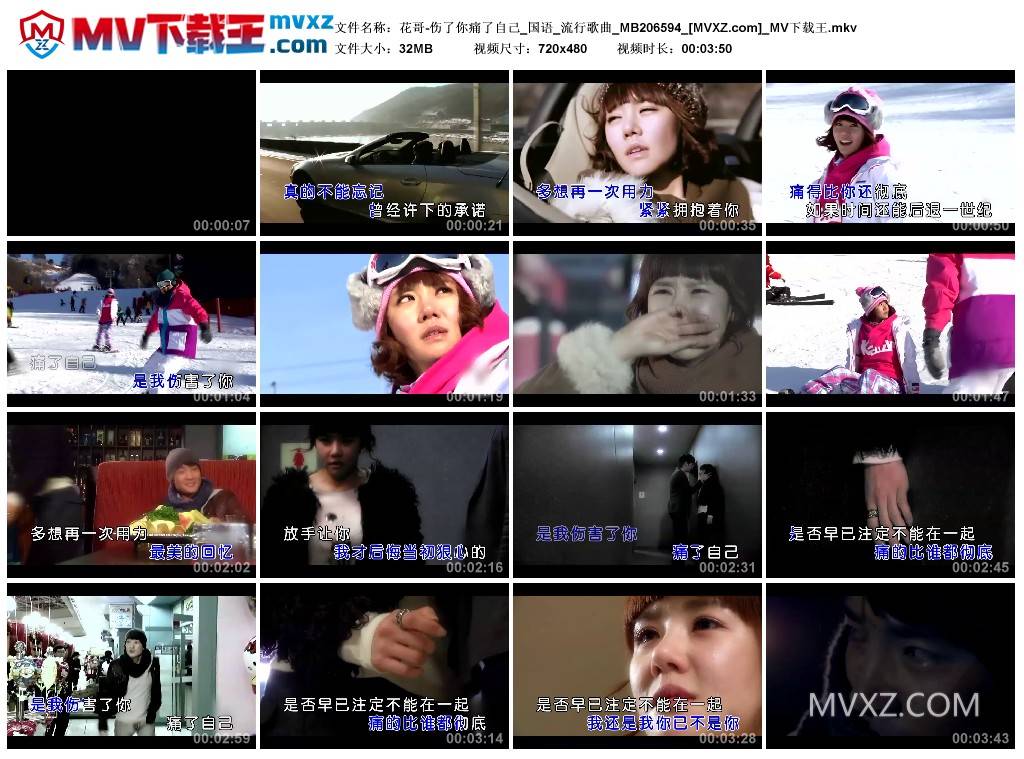 花哥-伤了你痛了自己_国语_流行歌曲_MB206594